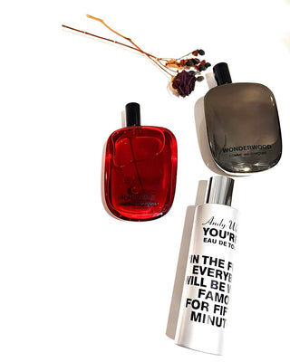 入荷速報<br>【Comme des Garcons Parfums】<br>千駄木店