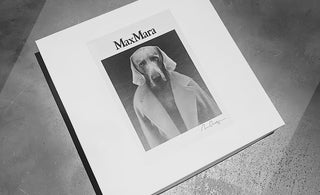 入荷速報！6/25(火)【MAXMARA】千駄木店