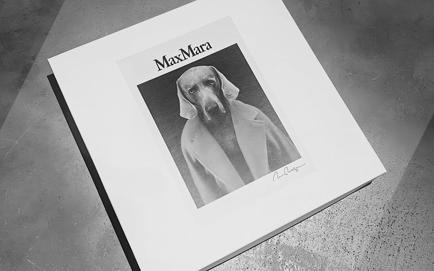 入荷速報！6/25(火)【MAXMARA】千駄木店
