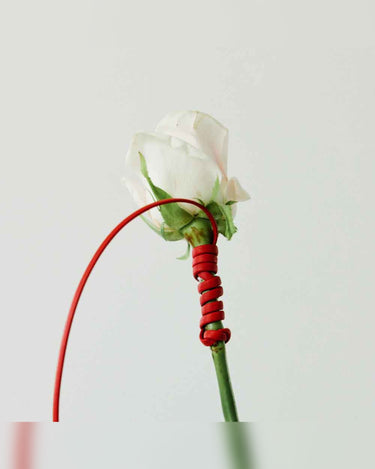 千駄木店にてイベント開催中!<br>5/23(Sat.)〜5/31(Sun.)【RboW】<br>HAIR PERFUME MIST- ROSE CUIR
