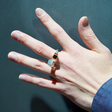 [Garden of Eden]<br>Cubing<br>-SILVER & 10k-